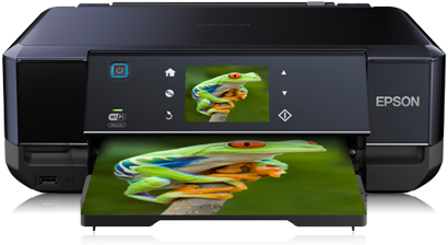 Cartuchos Epson Expression Photo XP-750